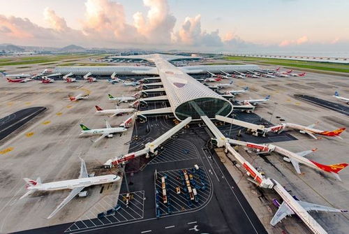 深圳機場貨物進出口報關報檢全流程解析