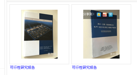 南昌聚星企業(yè)管理咨詢有限公司 專業(yè)可行性研究報(bào)告服務(wù)提供商
